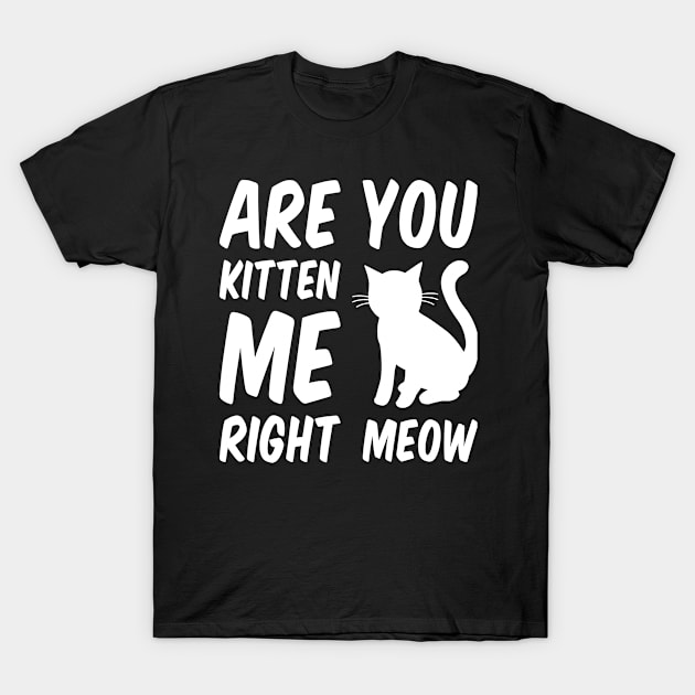 Are You Kitten Me Right Meow - White Cat T-Shirt by Everydayoutfit